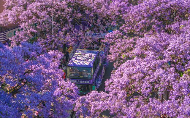 更优服务繁荣文旅市场AG真人登录入口以(图6)